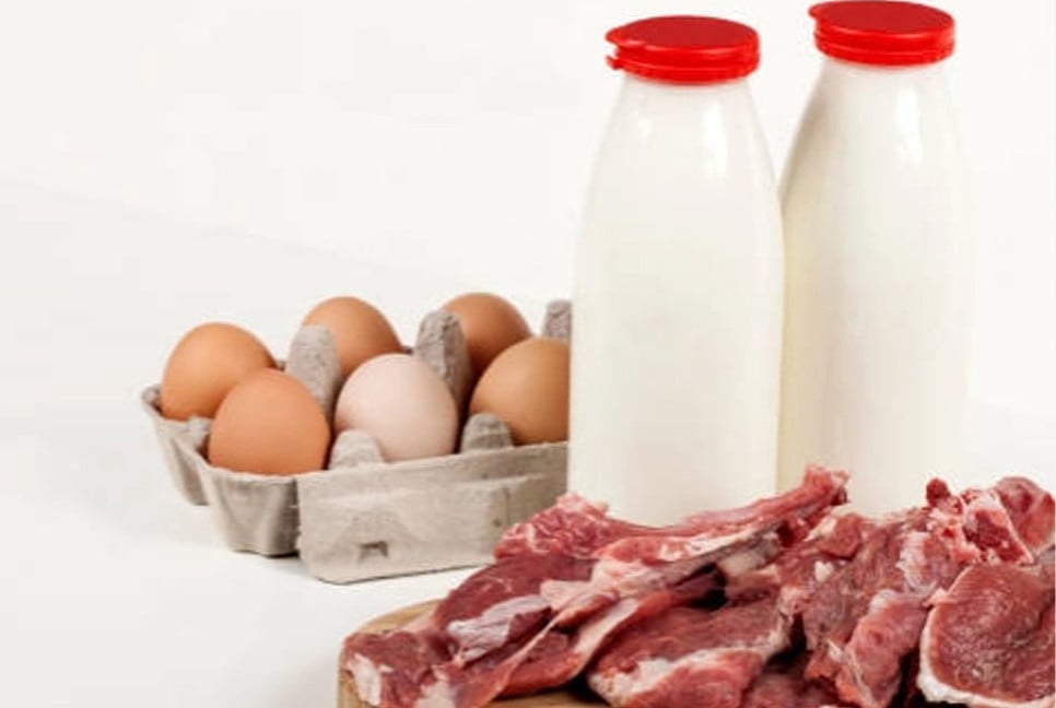 Meat, eggs, milk to be sold at affordable prices in Dhaka