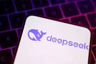 Why countries are banning DeepSeek?