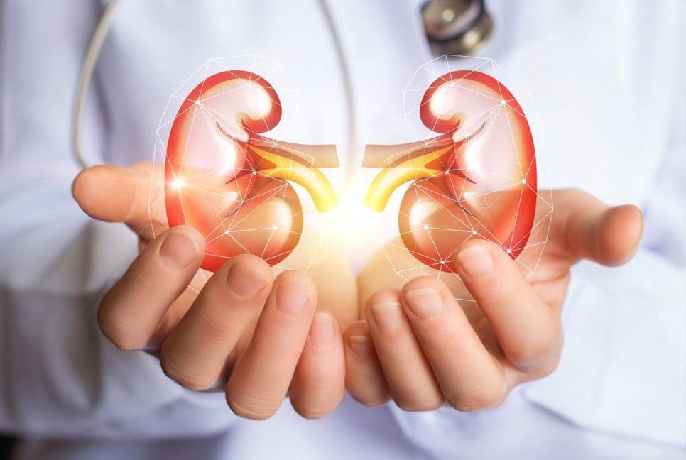 Creatinine levels: the silent indicator of kidney health