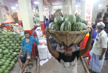 Jaintapur farmers thrive with bumper watermelon harvest