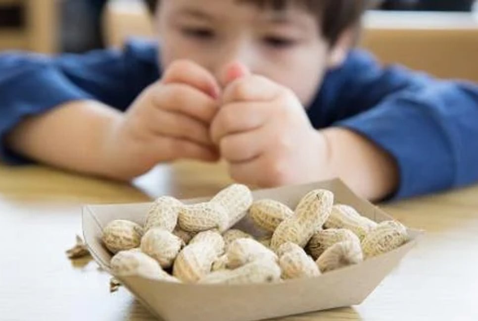 Air pollution linked to rising peanut allergies in kids: study