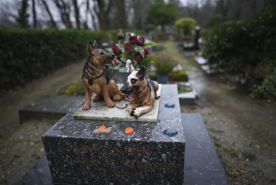 Losing a pet can cut deeper than many people realize. Here’s how friends can help