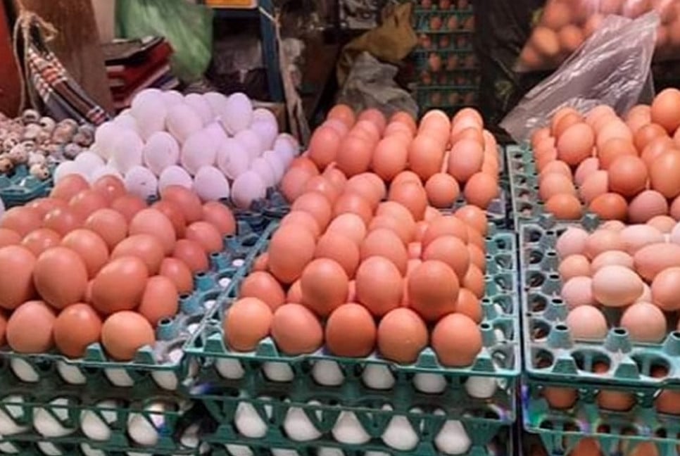 People’s Poultry and Hatchery Ltd fined Tk7.2m for inflating egg prices