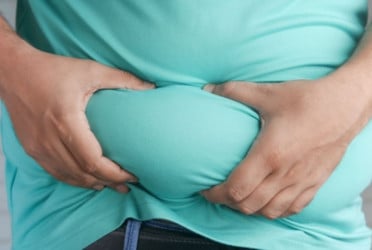 Belly fat may benefit young brains