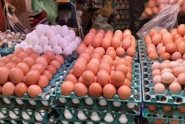 People’s Poultry and Hatchery Ltd fined Tk7.2m for inflating egg prices