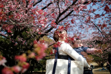 Japan births fall to new historic low