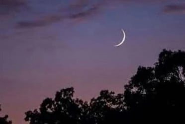 Holy Ramadan to start tomorrow as moon sighted