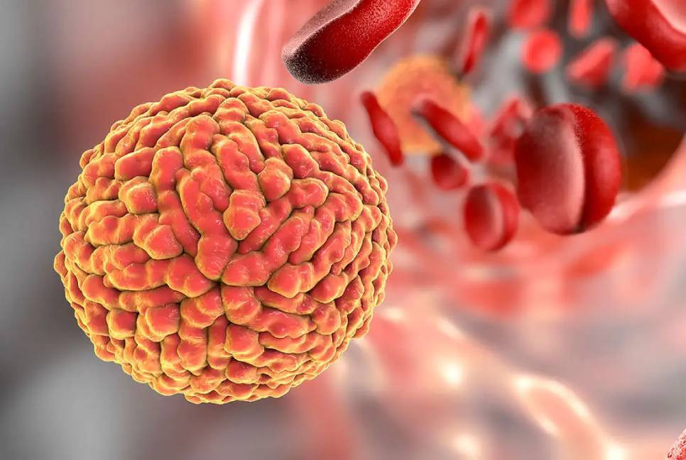 Bangladesh confirms 1st Zika virus cases