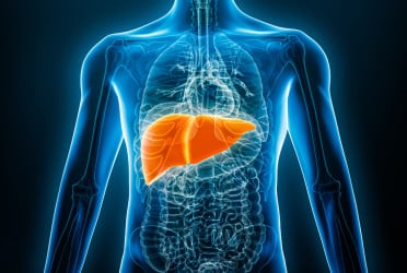 How to improve liver health: Expert-recommended diet and aerobic exercise