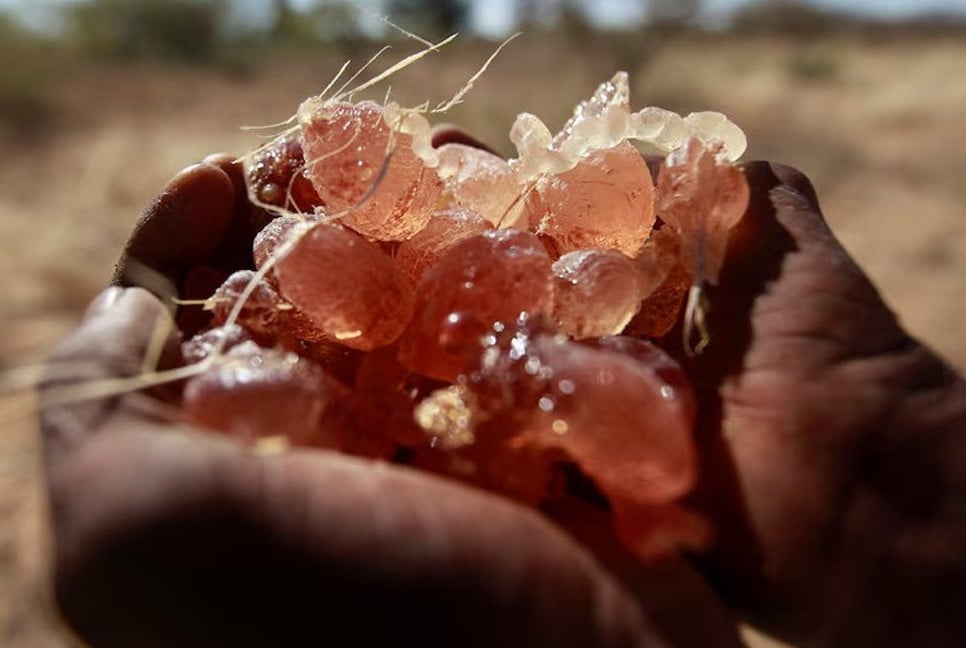 How a key ingredient in Coca-Cola, M&M's is smuggled from war-torn Sudan