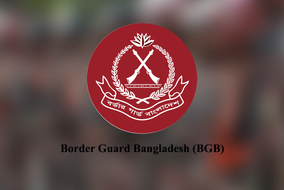 BGB seizes smuggled goods worth tk170cr in Feb