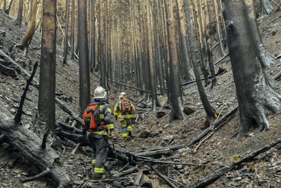 Rain checks spread of Japan wildfire