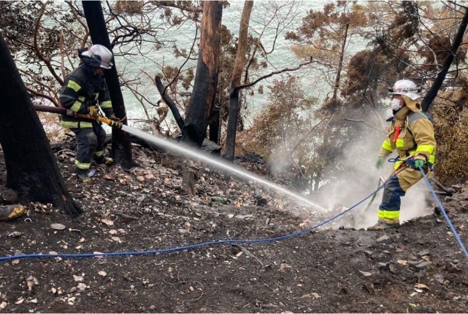 Japan's worst wildfire in 50 years brought under control: mayor