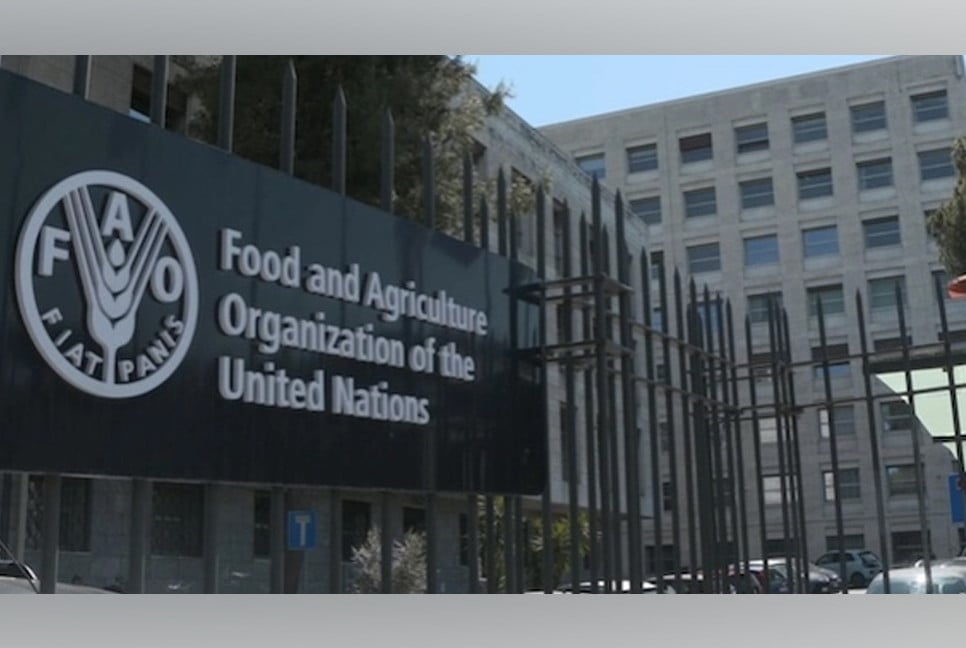 FAO, Bangladesh to work jointly for fostering food security