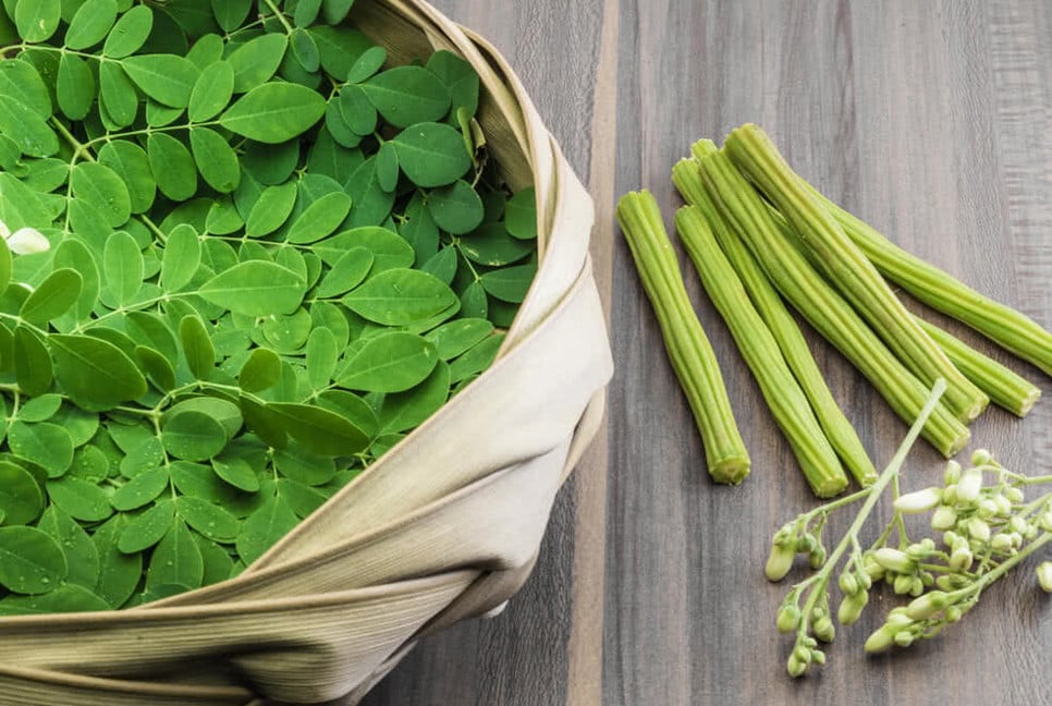 4 benefits of moringa water in the morning