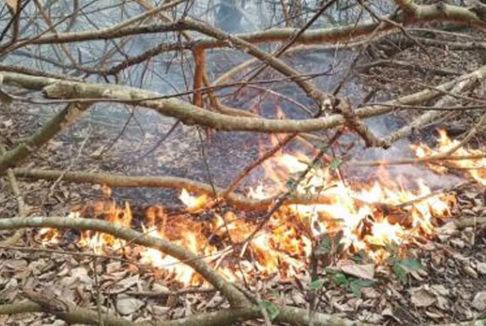 New fire erupts in Sundarbans, Saturday’s fire tamed