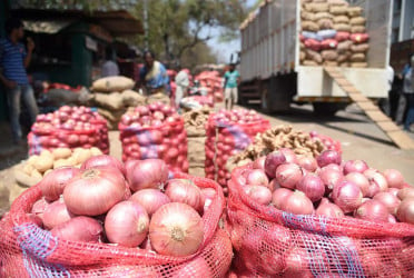 India withdraws 20% duty on onion export effective from April 1