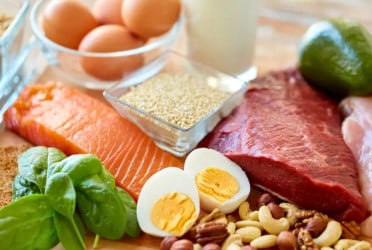 Protein intake: Myths and safe limits