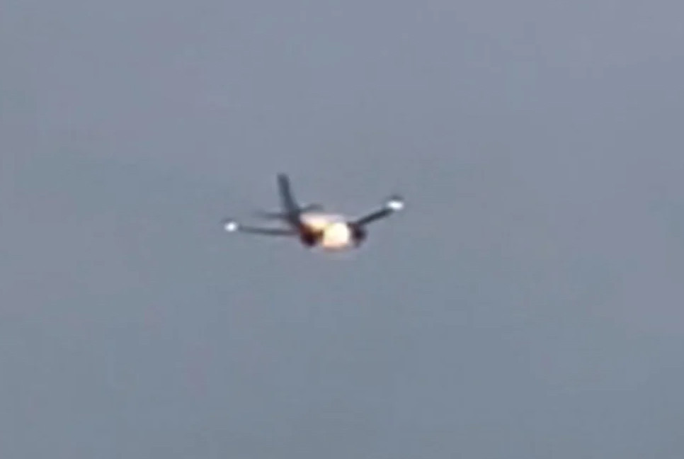 Plane engine shoots out fire after hitting an animal on takeoff