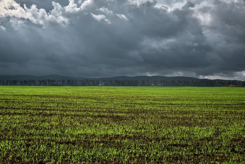 Rain, thunderstorms forecast for parts of country over next 5 days