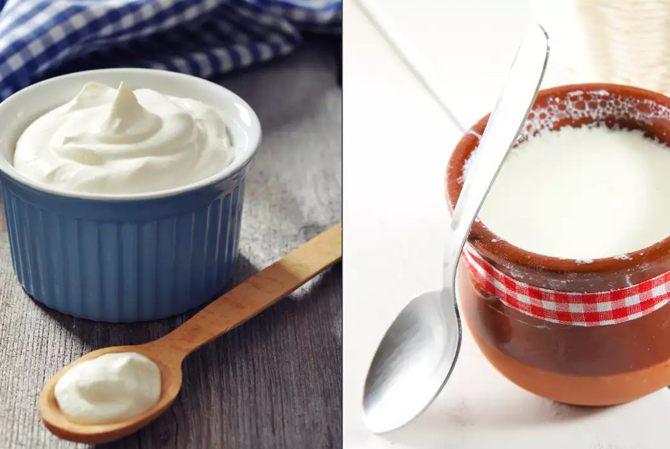 Greek yoghurt or traditional curd? Nutritionist shares best choice
