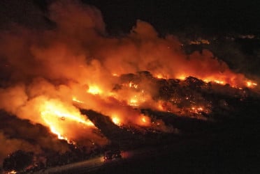 Brazilian judge orders seizure of illegally deforested lands