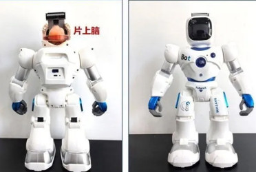 China develops robot to implant hair-thin brain electrodes