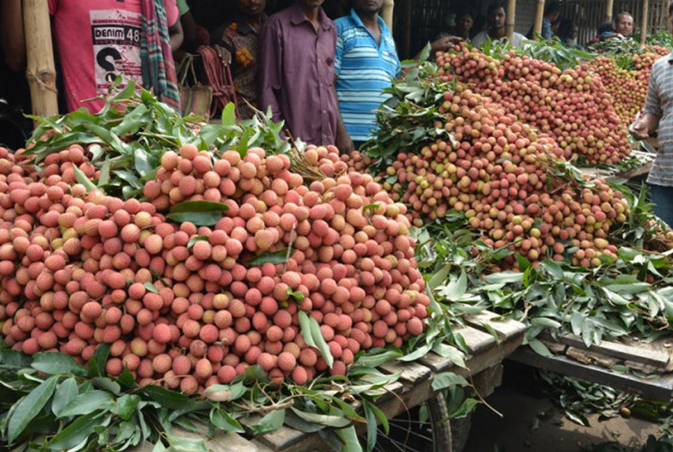 Govt recognises 'Bedana litchi' as GI product