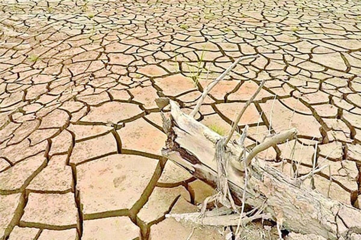 Farakka water diversion sparks environmental crisis in 12 districts