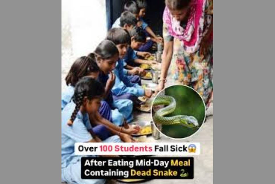Over 100 Indian students fall sick after eating meal containing dead snake