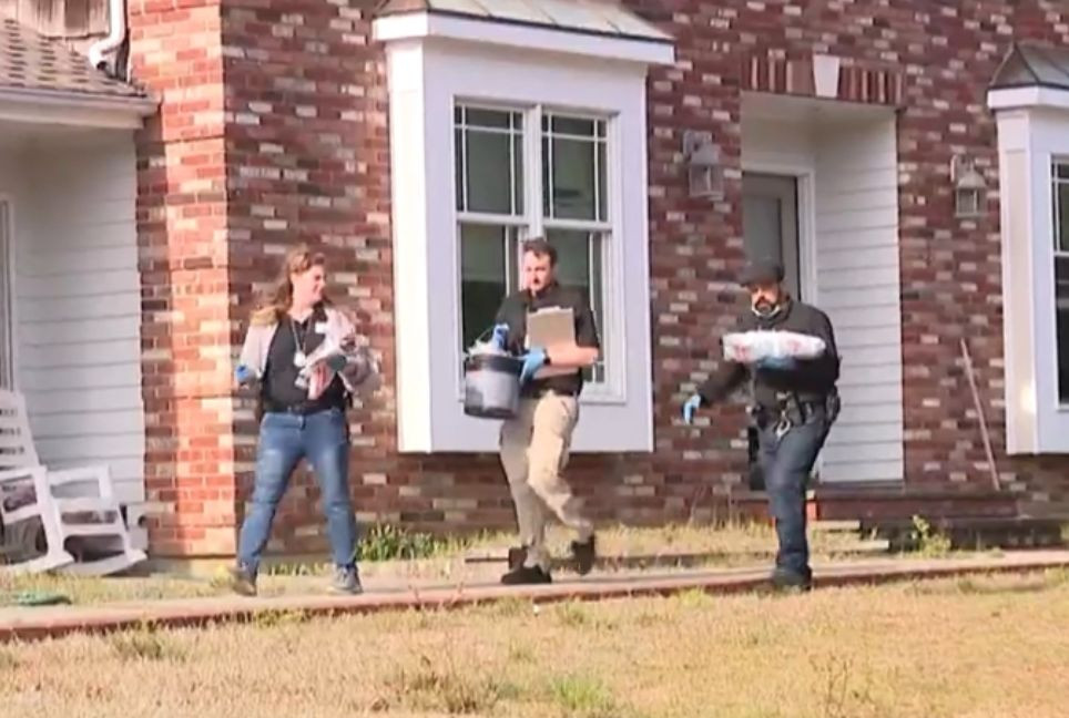 Around 100 cats found dead in NY home, some bodies kept in fridge