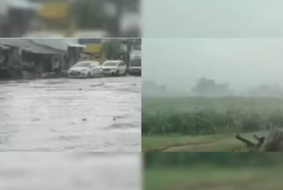 14 dead due to heavy rain in India’s Gujarat