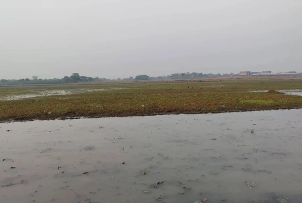 Govt declares 2 wetlands as wildlife sanctuaries in Rajshahi
