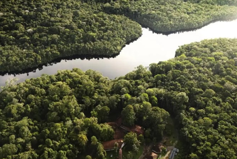 COP30 can be a turning point in climate fight