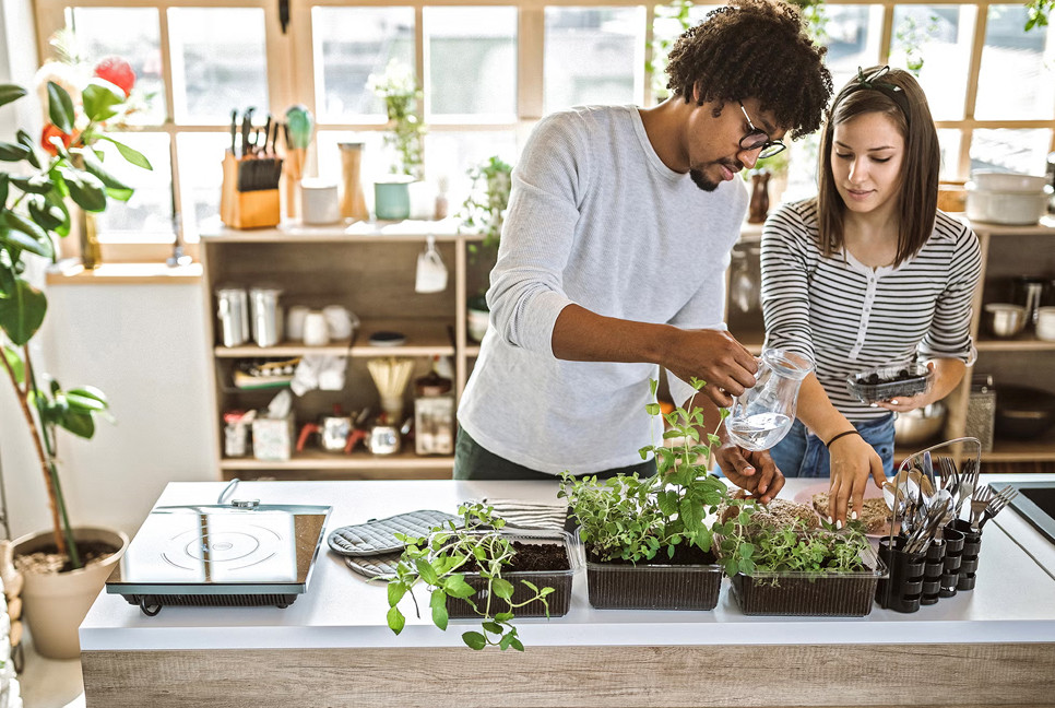 What to grow indoors and eat for lower BP and better blood circulation
