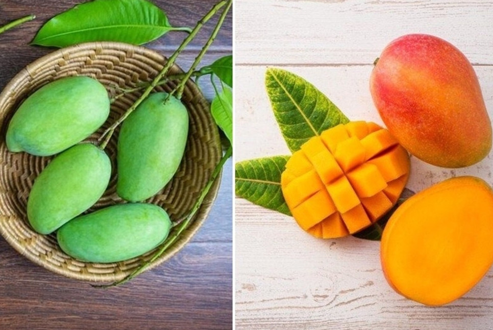 Mangoes: The delicious cure for summer woes