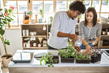 What to grow indoors and eat for lower BP and better blood circulation