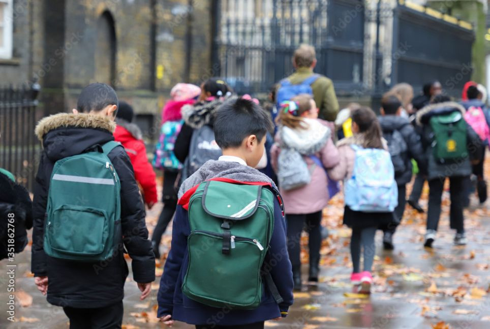 Heavy school bags for kids not to blame for spine damage: Expert