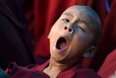 Yawning may signal serious health risks: Experts