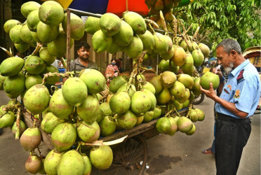 Green coconut hits Tk 200 amid scorching heat