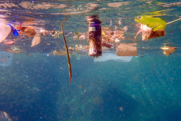 Study reveals alarming microplastic pollution in Turkiye’s freshwater lakes