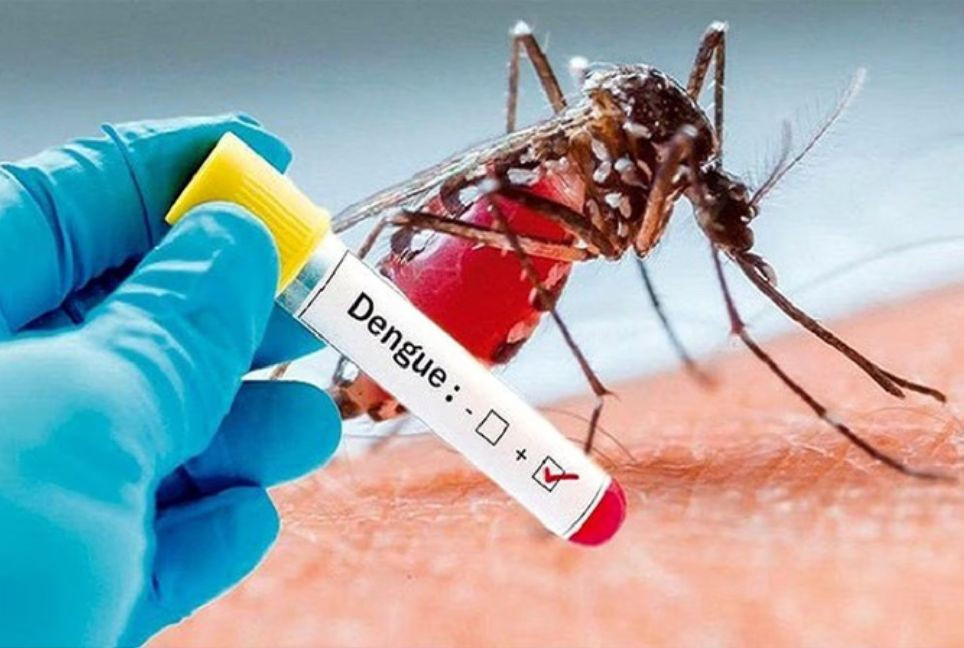 Dengue, chikungunya may soon be endemic in Europe: Research