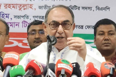Mirza Abbas claims sovereignty at risk under interim government