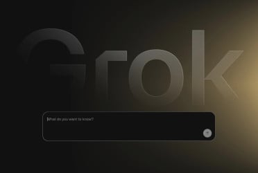 Why was Grok preoccupied with South Africa’s racial politics?