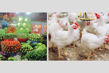 Vegetable and chicken prices drop as supply increases