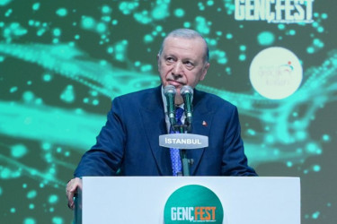 Turkiye pioneers peace, humanitarian diplomacy: Erdogan