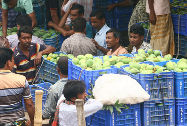Mango festival starts bustling local markets in Rajshahi