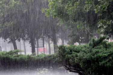 Flood threat looms over 4 districts as river water crosses danger level