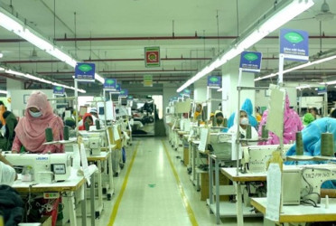 Govt to clear TNZ workers’ dues in 7 days, owner faces red alert