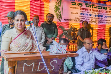 Govt working to mitigate human-elephant conflicts: Rizwana